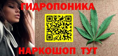 ГАЛЛЮЦИНОГЕННЫЕ ГРИБЫ Обь