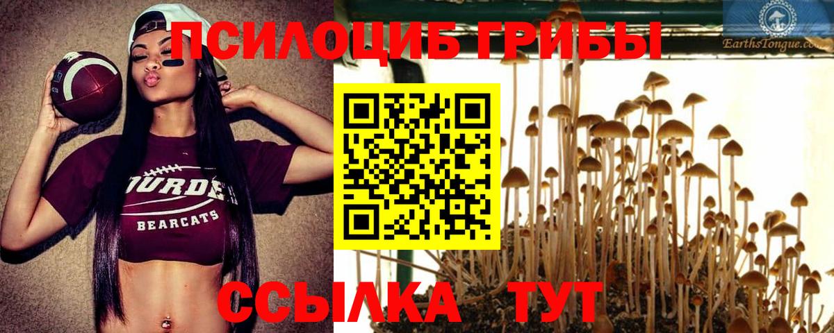Псилоцибиновые грибы ЛСД  даркнет сайт  Галлюциногенные грибы Cubensis  Печора  Вход с VPN 