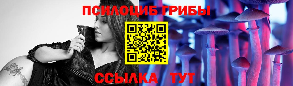 Галлюциногенные грибы MAGIC MUSHROOMS Печора